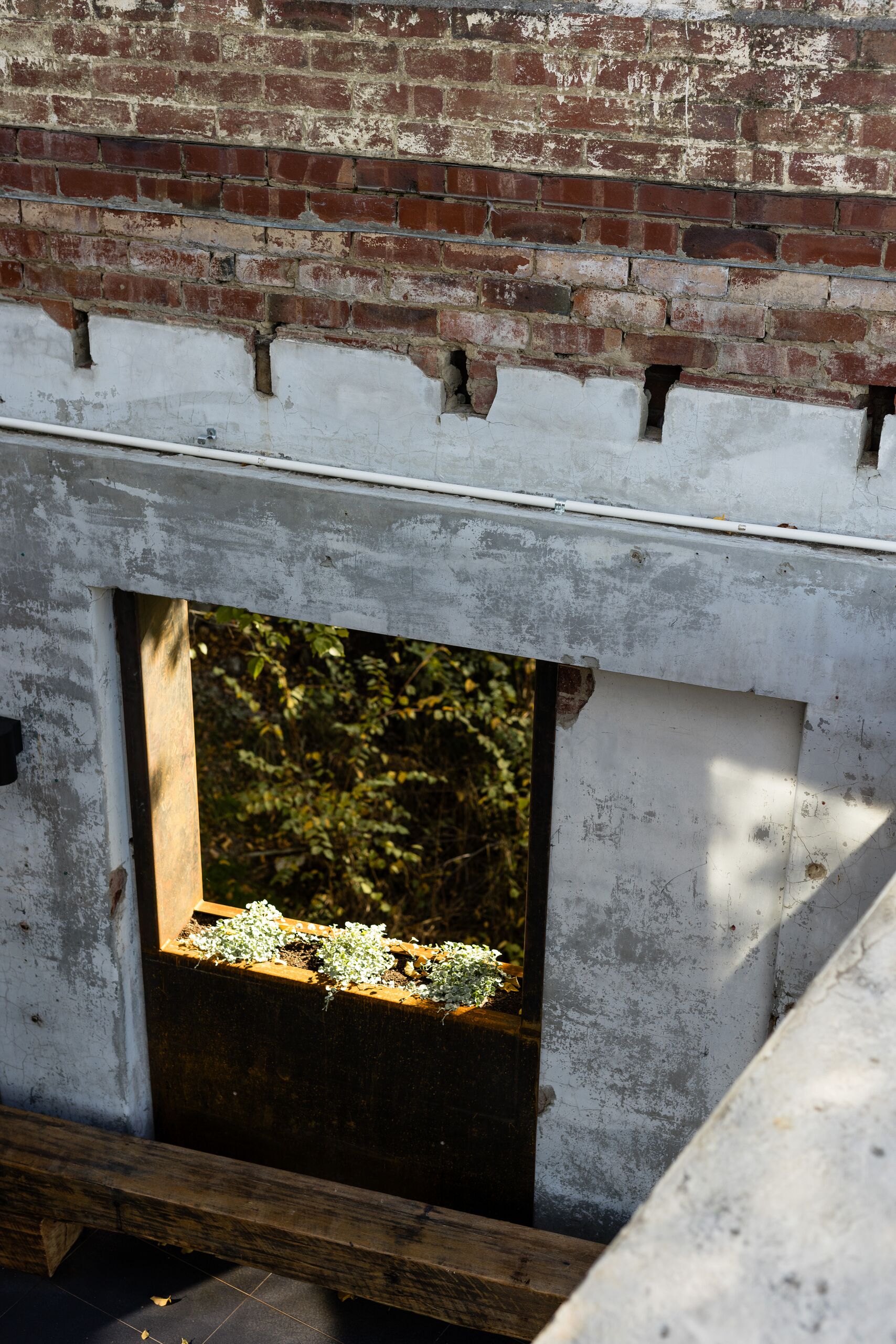 New opening cut through the original brick and concrete wall, revealing the existing fabric